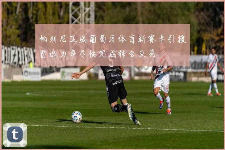 帕利尼亚成葡萄牙体育新赛季引援首选力争尽快完成转会交易